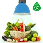 Cloche led 30w sp�cial l�gumes verts - bleu