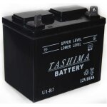 Batterie plomb 12v 18ah pour tondeuse autoport�e ? dimensions 195x130x185mm ? positif � droite ? livr�e ...