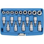 Embouts et douilles torx presentes en coffret bgs technic carre 1 / 2 Embouts et douilles torx presentes en coffret bgs technic carre 1 / 2