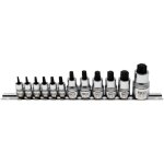 Jeu de douilles à embouts extra courtes profil ts (pour torx plus) t8 - t60 12 pièces bgs 5098 Jeu de douilles à embouts extra courtes profil ts (pour torx plus) t8 - t60 12 pièces bgs 5098