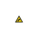 Triangle en pvc homme foudroye 100x100mm lot de 3