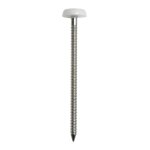 Bo�te de 100 pointes annel�es inox a4 acton - t�te bomb�e pvc - 50 x 2. 5mm - 647882, 5x50cdt100p