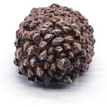 Bo�te � cl�s en forme de pommes de pin pour l'ext�rieur - cache - cl� secret aspect pierre v�ritable ...