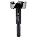 Bosch - professional forstner m�che de 40mm de diam�tre din 7483g (260925c145)