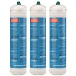 Lot de 3 bouteilles oxyg�ne jetable 110 bar connexion m10 soudure bi - gaz 110 litres kemper