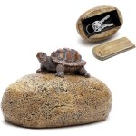 Cachette de cl�s pour l'ext�rieur, pierre avec compartiment secret, cachette de cl�, cachette de cl�, ...