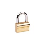 Vachette - cadenas  cl 1313 / 30 laiton - largeur du coffre : 55 mm - hauteur de l'anse : 55 mm