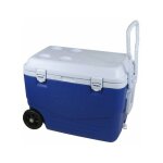 Cao camping - glacire rigide 46 litres 60, 5 x 35 , 5 x 41, 5 cm