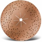 Carbide disque abrasif en carbure, 406 mm, double face, p. monobrosses, métal en carbure (lot de 1), ... Carbide disque abrasif en carbure, 406 mm, double face, p. monobrosses, métal en carbure (lot de 1), ...
