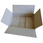Carton d'emballage 31 x 21 x 7, 5 cm