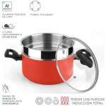 Fagor maxima faitout vapeur induction 20 cm, panier vapeur en acier inox. , couvercle en verre rouge