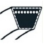 Castelgarden - 135064196 / 0 - courroie de traction z29 pour tondeuse / ggp