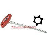 Cl� de d�montage � profil torx m�le poign�e en t 550736 taille t20