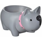 Un coquetier chien gris