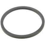 Courroie 25mmx1, 6mm, 996510023153 - lecteur dvd philips