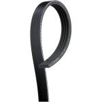 Courroie trapzodale 4pk855 gates
