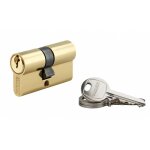 Cylindre de serrure double entre sa, 25x30mm, anti - arrachement, laiton, 3 cls - thirard