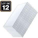 12 dalles led 1200x300 40w blanc froid 6000k haute luminosit -