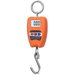 Debuns - balance num�rique professionnelle industrielle, crochet dynamom�tre ressort, 200 kg, de