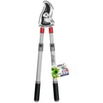 lagueur tlescopique  drivation dedra - coupe des branches jusqu' 35 mm