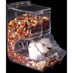 Distributeur nourriture hamster / 400 ml, automatique, pour cochon d?inde, h�risson, �cureuil