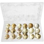 Dpzo - bestonzon lot de 100 bo�tes de rangement en pvc pour �ufs de caille transparent