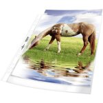 Pochette 2677 din a4 polypropylne 0. 08 mm transparent 267719 50 pc(s) - durable