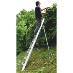 Echelle fruitire 12 barreaux avec pointe - hauteur max travail 4. 79m - sca1969 / 12 - sccsto