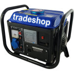 Electrical court manner portatile 650w moteur 2 times