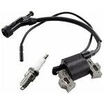 Ensemble comprenant une bobine d'allumage et une bougie d'allumage pour le groupe �lectrog�ne berlan ...