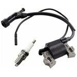 Ensemble comprenant une bobine d'allumage et une bougie d'allumage pour le groupe �lectrog�ne berlan ...