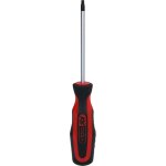 Ergotorqueplus tournevis, torx, perc� tb20