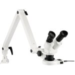 Eschenbach - 33263 33263 stéréomicroscope binoculaire 20 x lumière réfléchie Eschenbach - 33263 33263 stéréomicroscope binoculaire 20 x lumière réfléchie