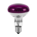Omnilux - eurolite 9210440u ampoule halog�ne e27 r�flecteur 60 w violet (� x l) 80 mm x 110 mm 1 pc(s) ...