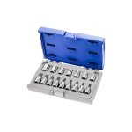 Expert - coffret de douilles et douilles tournevis torx 1 / 2' - 16 pices - e032907