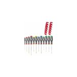 Facom jeu de 12 tournevis protwist - at. j12r2pb - fendue, ph, pz, torx - 2 racks de rangement