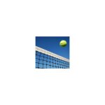 Direct filet - filet de tennis ( + cble de fixation)