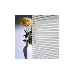 Film adh�sif vitre, diff�rentes dimensions, cache des regards indiscrets, vitres des �coles, h�pitaux, ...