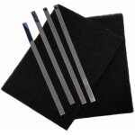 Filtre hotte charbon livre par 2 pour hotte thermor