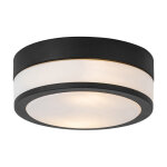 Flavi - plafonnier - 2 lumi�re - � 23 cm - noir - moderne - �clairage ext�rieur - salle de bains - qazqa ...