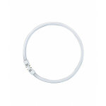Fluo osr t5 fc 22w 830 2gx13 (528489)