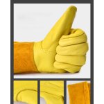 Gants roncier - paire de gants de jardinage - protection cuir - gants de jardinage pour les �pines et ...