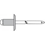 Gesipa - rivets aveugles aluminium / acier grande tte 4, 8 x 12 k 16 250 pices