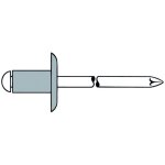 Gesipa - rivets aveugles aluminium / acier grande tte 5 x 18 k 14 250 pices