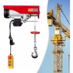 Grue lectrique de treuil de grue de grue de treuil de grue de moteur de treuil de moteur 800kg