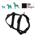 Harnais pour chien en nylon basique 2, 5 cm pour tailles 25