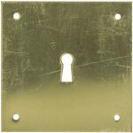 Plaque de propret� laiton poli cl� l 50x50mm heracles 251352 - clel