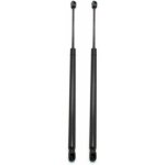 Jalleria - 1 paire de v�rins � gaz de hayon arri�re pour renault megane grand scenic mk 2 mpv (2003 - ...