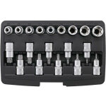 Jeu de 19 embouts et douilles torx males t20 a t70 et femelles e10 a e24