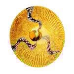 Luna - applique murale designer glass large polished gold - motif kiss gold, 1x e27 - kolarz